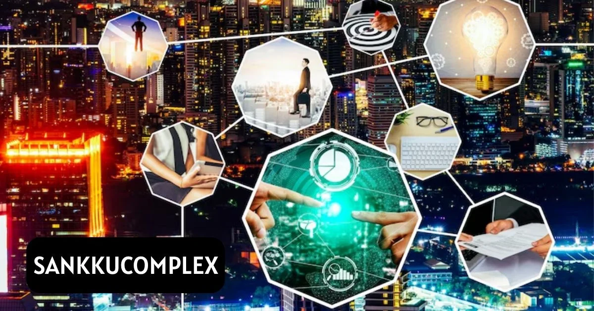Sankkucomplex